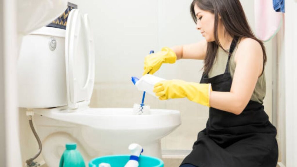 Cleaner Jobs Mexico