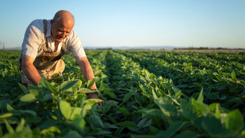 Crop Farming Jobs in Australia