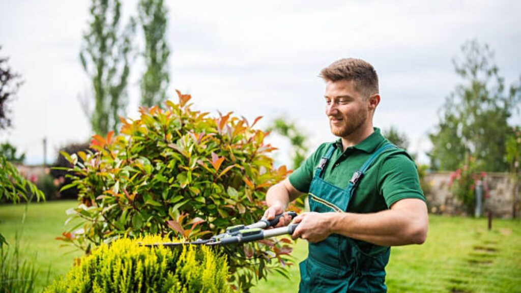 Gardener Jobs in Dubai