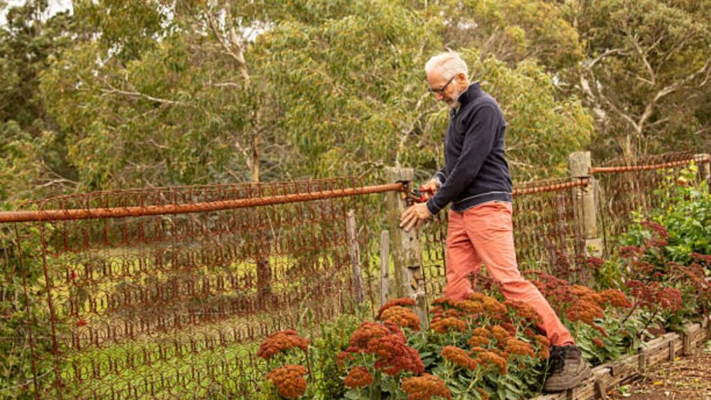 Australia Garden Maintenance Jobs 2026 – Visa Sponsorship Available