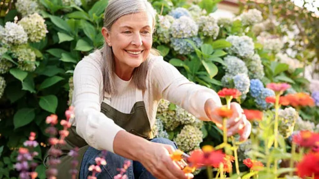 Seasonal Gardener Jobs in Spain