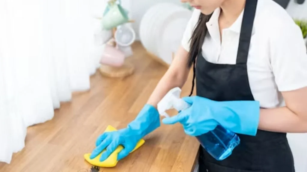 Housekeeper Job Spain