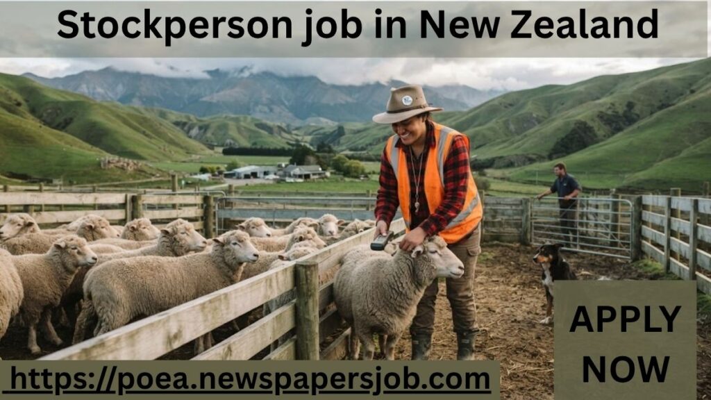 Stockperson job in New Zealand